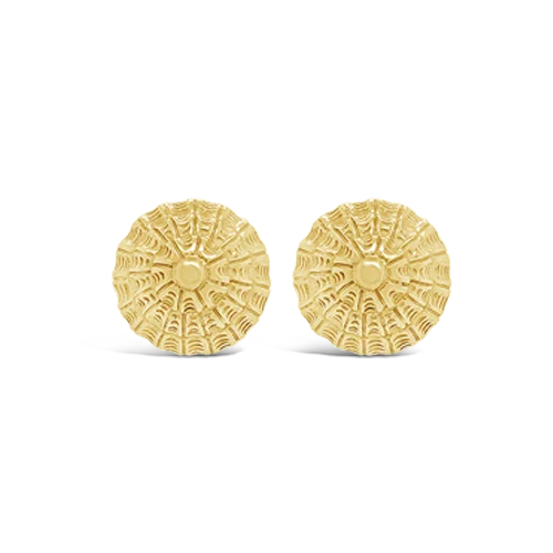 Designer earrings for luxury fashion collections-Gold Shell Earrings